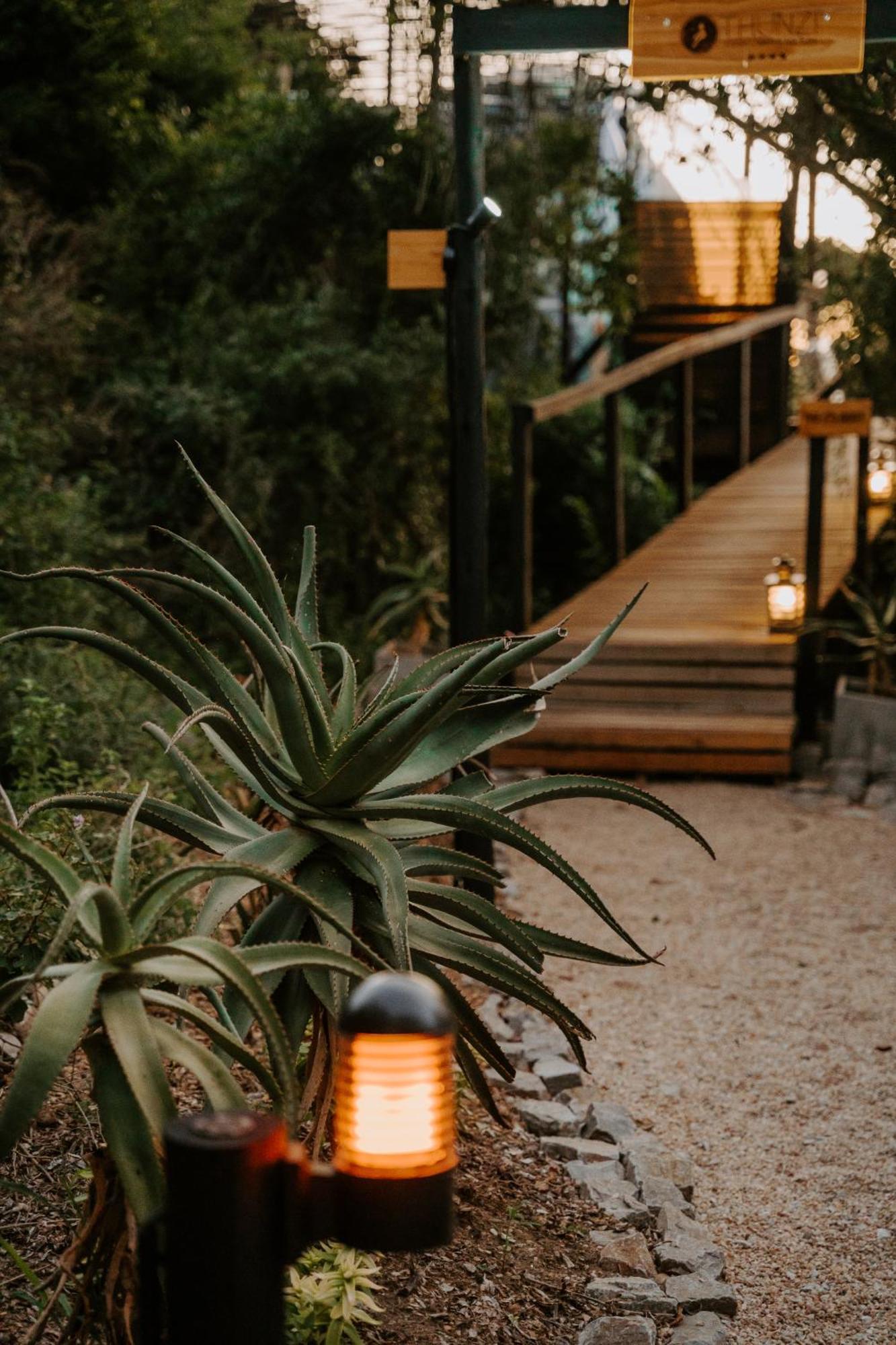 Thunzi Bush Lodge Beachview Eksteriør billede