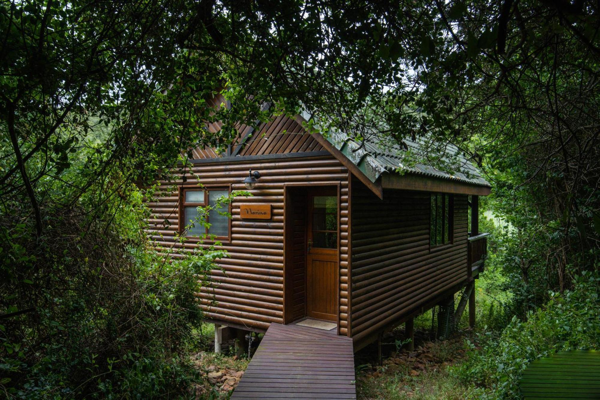 Thunzi Bush Lodge Beachview Eksteriør billede